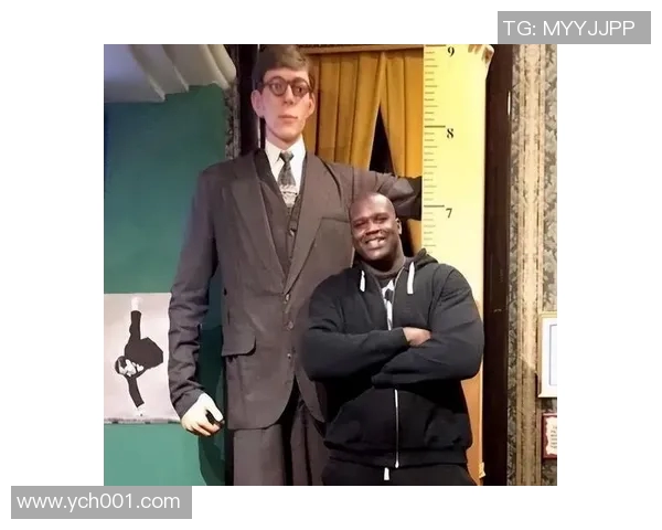 全球足球明星身高排行榜揭晓谁是最高的球场巨人