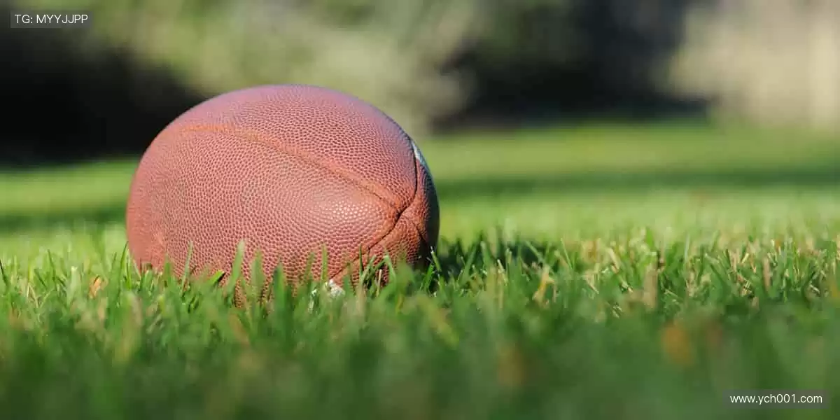 🎉 冠军之路，与你同在，